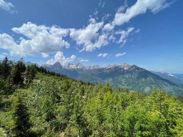Immobilie in Hinterstoder - „Zwischen Himmel und Gipfeln – Ein alpiner Traum mit Alpenpanorama auf den Hutterer Böden! - Bild 2