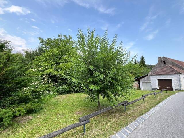 Immobilie in Reith - IHR SANIERUNGSBEDÜRFTIGES PARADIES FÜR MENSCH UND TIER MIT POTENTIAL UND GROSSEM GRUNDSTÜCK - Bild 2