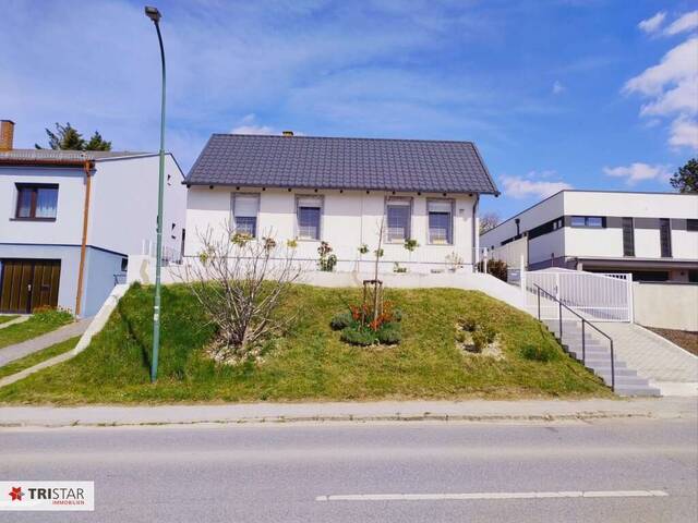 Immobilie in Bad Deutsch-Altenburg - Top-ausgestattetes Wohnhaus mit gepflegtem Garten - Bild 1