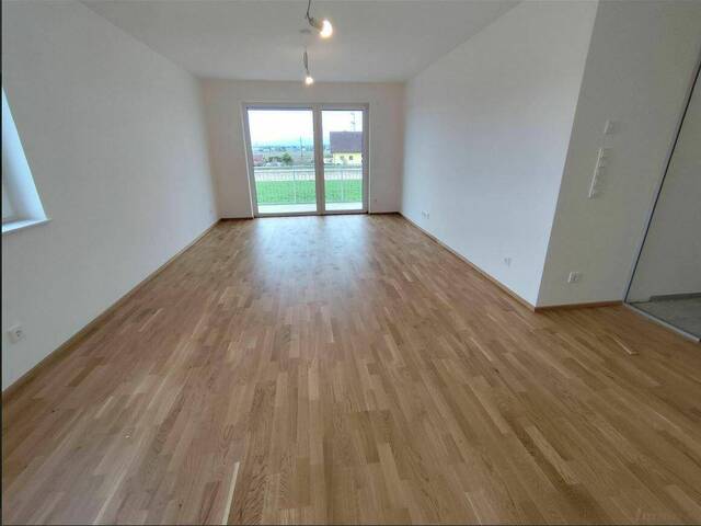 Immobilie in Werndorf - HONORARFREI **Exklusives Wohnen ** Erstbezug** !!nur 15min nach Graz!! ** Einziehen & das Leben genießen ** - Bild 1