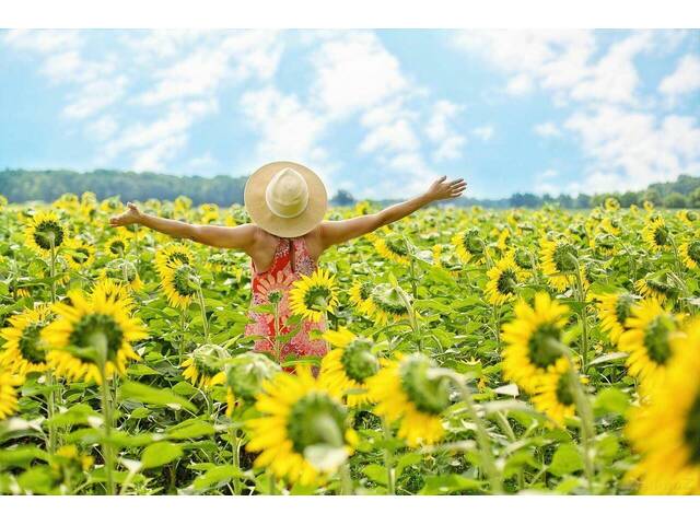 Immobilie in Werndorf - HONORARFREI **Exklusives Wohnen ** Erstbezug** !!nur 15min nach Graz!! ** Einziehen & das Leben genießen ** - Bild 0