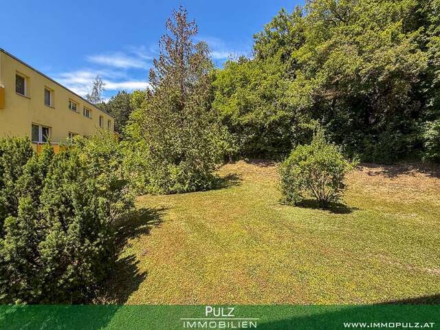 Immobilie in Hinterbrühl - SINGLEWOHNUNG in AUSSICHTSLAGE - Bild 2