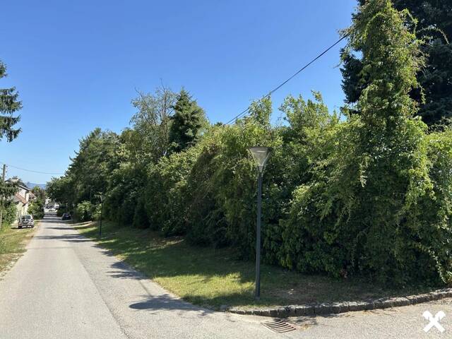 Immobilie in Stillfried - Landgut ca. 6800 m² in 2262 Stillfried - Bild 1