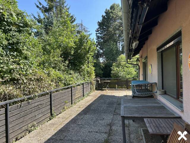 Immobilie in Stillfried - Landgut ca. 6800 m² in 2262 Stillfried - Bild 2
