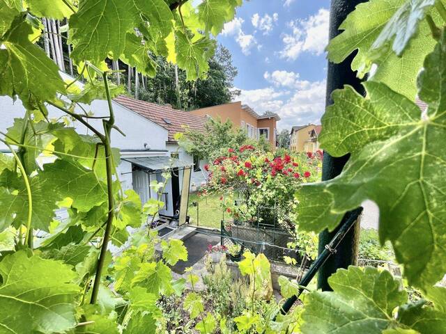 Immobilie in Berndorf - CHARMANTES EINFAMILIENHAUS IN RUHELAGE - Bild 1