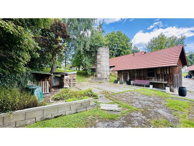 Immobilie in Tollet - Großzügiges Einfamilienhaus mit sehr viel Platz - Bild 3