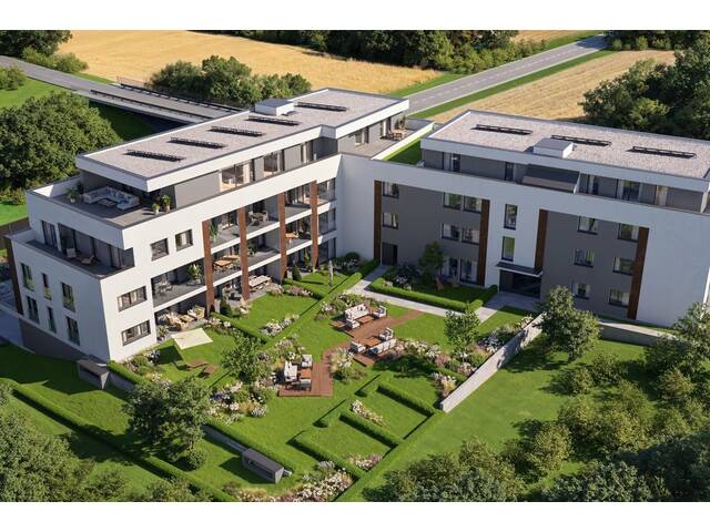 Immobilie in Kematen an der Krems - Ihr neues Zuhause mit großzügiger Freifläche: exklusiv & hochwertig - Bild 3