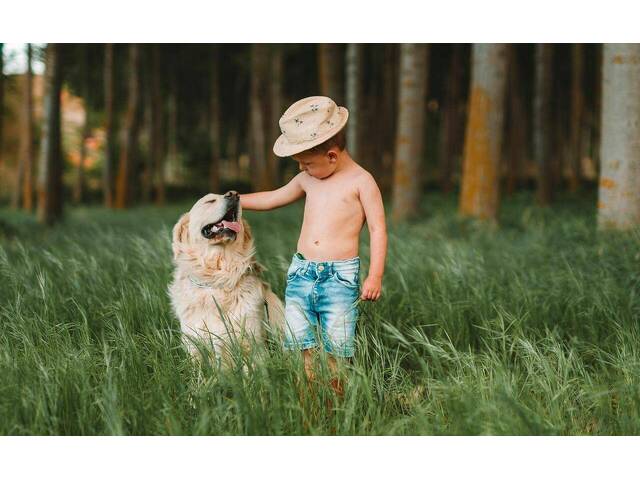 Immobilie in Kapfenstein - ** Geschmackvolles Zweifamilienwohnhaus - ca. 1,9ha LW-Fläche mit Wald ** unvergleichbarer Panoramablick auf Schloss Kapfenstein und das steirische Hügelland ** - Bild 0