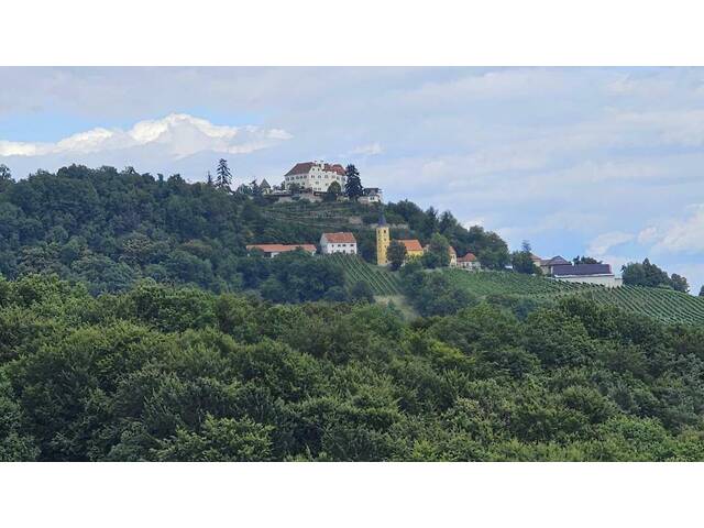 Immobilie in Kapfenstein - ** Geschmackvolles Zweifamilienwohnhaus - ca. 1,9ha LW-Fläche mit Wald ** unvergleichbarer Panoramablick auf Schloss Kapfenstein und das steirische Hügelland ** - Bild 4