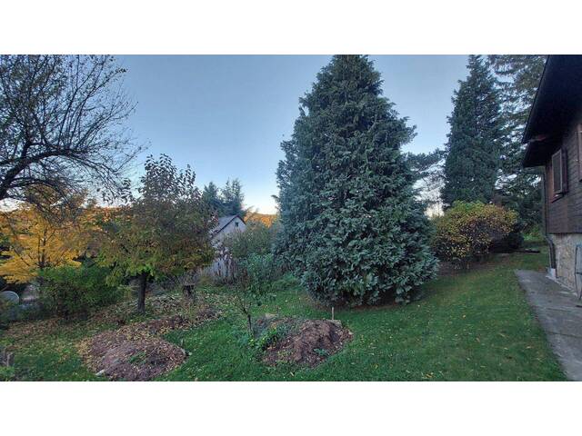 Immobilie in Eichgraben - Ausbaufähiges Holzhaus mit großem Grundstück in Eichgraben - Bild 4