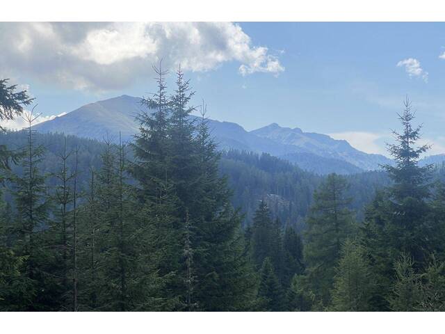 Immobilie in Flattnitz - Neu saniertes 2-Familien Almhaus in ruhiger Lage - Bild 3