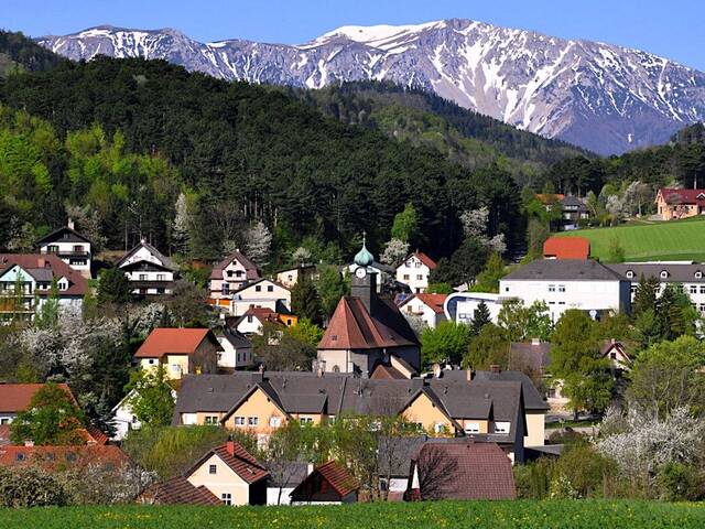 Immobilie in Grünbach am Schneeberg - KLEINES HAUS BEIM SCHNEEBERG - Bild 0