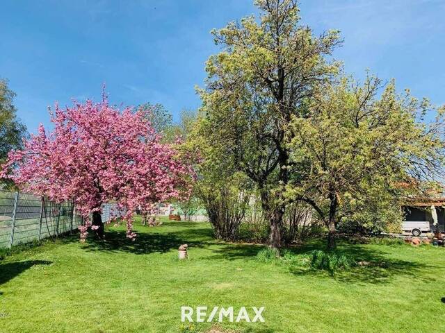 Immobilie in Lanzendorf - TOP-Preis! Frühlingserwachen im eigenen Gartenparadies - Bild 1