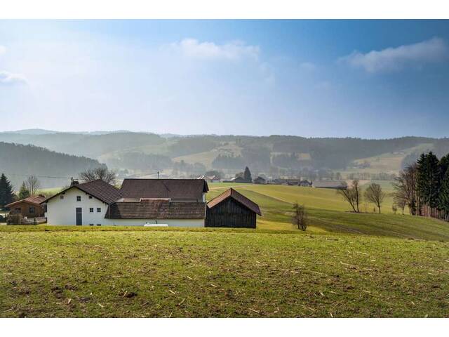 Immobilie in Maria Schmolln - Teilsaniertes ländliches Anwesen mit 2 Wohneinheiten in Traumlage / Garagen / Nebengebäude / Grünland. - Bild 0