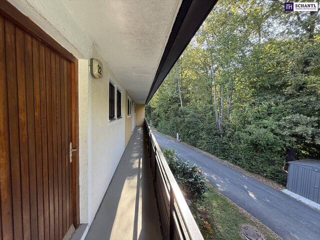 Immobilie in Waldschach - Gepflegte Seewohnung in Ruhelage – Direkter Blick auf den Walschacher See! - Bild 4