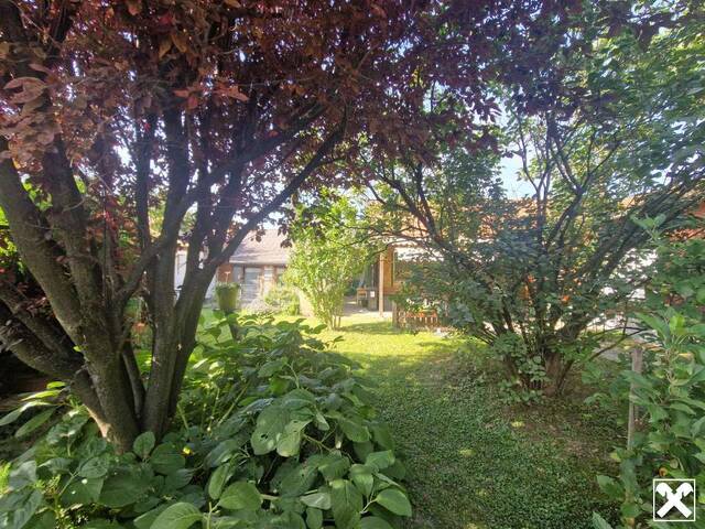 Immobilie in Hippersdorf - LIEBEVOLLES LANDHAUS FÜR ZWEI PERSONEN IN GRÜNLAGE MIT GESCHLOSSENEM, ABSOLUT UNEINSEHBAREM INNENHOF UND HERRLICHEM GARTEN SAMT GRILLPLATZ UND NEBENGEBÄUDEN - Bild 3