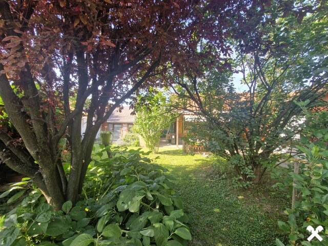 Immobilie in Hippersdorf - LIEBEVOLLES LANDHAUS FÜR ZWEI PERSONEN IN GRÜNLAGE MIT GESCHLOSSENEM, ABSOLUT UNEINSEHBAREM INNENHOF UND HERRLICHEM GARTEN SAMT GRILLPLATZ UND NEBENGEBÄUDEN - Bild 3