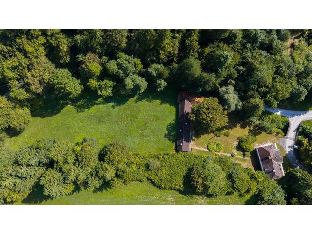 Immobilie in Kainach bei Voitsberg - Ehemaliges Forsthaus mit Wirtschaftsgebäuden, allein und ruhig im Wald gelegen. - Bild 4