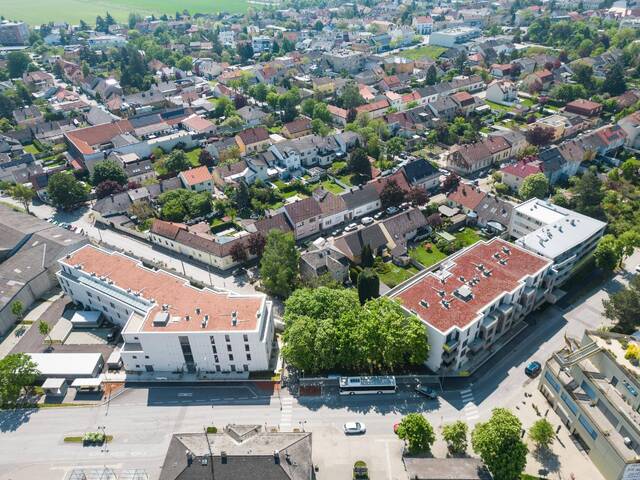 Immobilie in Deutsch-Wagram - Wohnen im Weinviertel - 6 Minuten von Wien-Deutsch Wagram - Bild 1