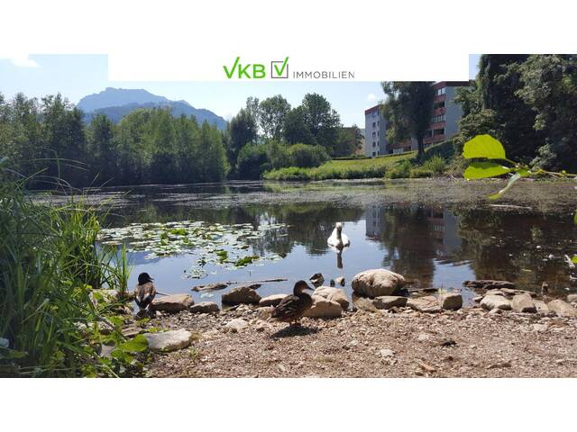 Immobilie in Gmunden - Unschlagbarer Preis für eine große Komfortwohnung in Gmunden - Bild 1