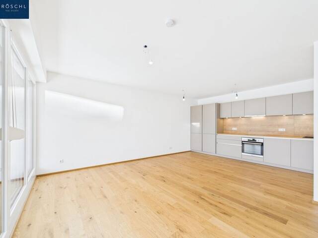 Immobilie in Vitis - NEUBAU - EIGENUTZUNG oder für ANLEGER - Vitis im Waldviertel ca. 90% vermietet - Bild 1