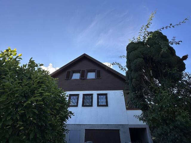 Immobilie in Jedenspeigen - Charmantes Einfamilienhaus mit idyllischem Garten - Bild 3