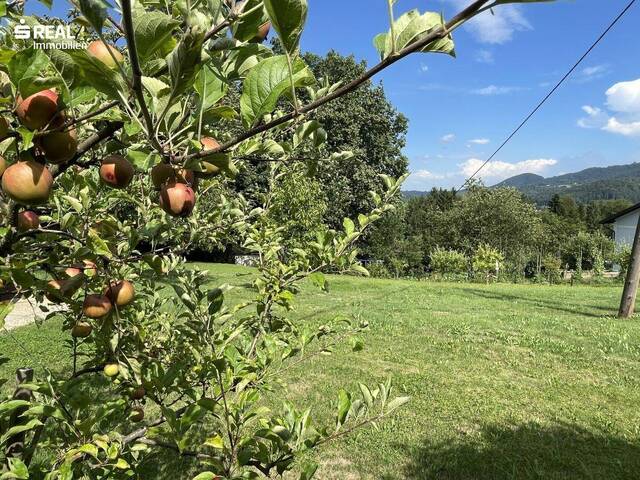 Immobilie in Arnfels - Mein kleines und feines Häuschen mit schöner Grünfläche am Waldrand - Bezirk Leibnitz - Bild 2