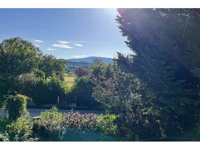 Immobilie in Hinterbrühl - Vor den Toren Mödlings - idyllisches Einfamilienhaus - Bild 0