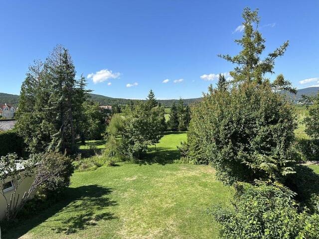 Immobilie in Sooß - Einfamilienhaus in Sooß, Nähe Weinbergstraße, Möglichkeit zum Ankauf des angrenzenden Gartens - Bild 4