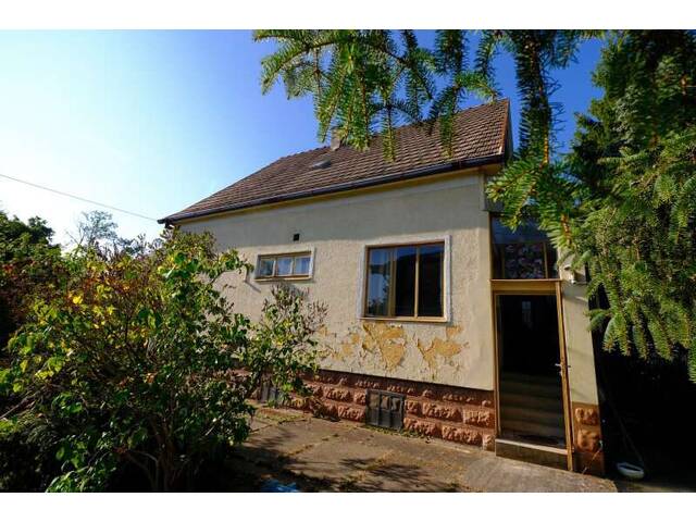 Immobilie in Deutsch-Wagram - Großes Baugrundstück - 300m2 Grund verbaubar - Bild 3