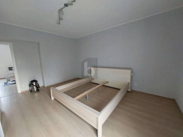 Immobilie in Kirchberg am Wagram - CHARMANTES WOHNEN MIT GARTENFLÄCHE - Bild 4