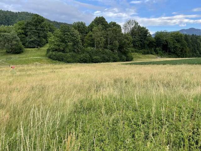 Immobilie in Gallizien - Liegenschaft mit 2 Wohnhäusern und Wirtschaftsgebäuden in Ruhelage - Bild 3