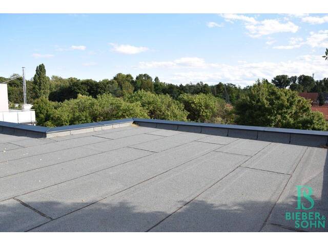 Immobilie in Traiskirchen - Großzügiges, sonniges Einfamilienhaus mit 80m² Dachterrasse - Bild 1
