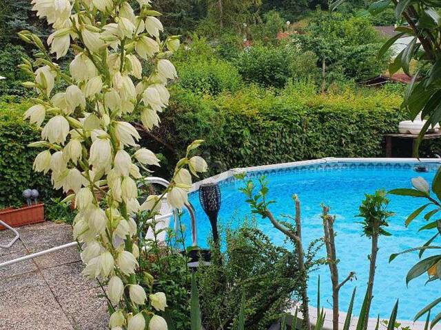 Immobilie in Krems an der Donau - TOP LAGE MIT GARTEN UND POOL - Bild 1