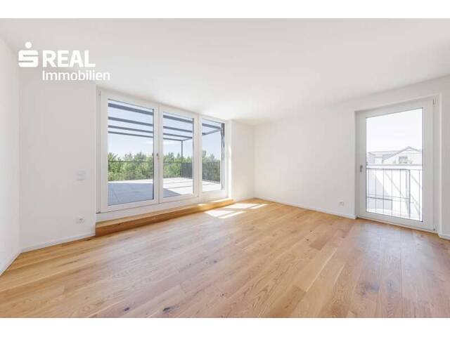 Immobilie in Hollabrunn - Modern wohnen, nachhaltig leben – Energieeffizienz trifft Wohnkomfort - Bild 0