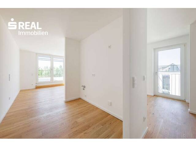 Immobilie in Hollabrunn - Modern wohnen, nachhaltig leben – Energieeffizienz trifft Wohnkomfort - Bild 1