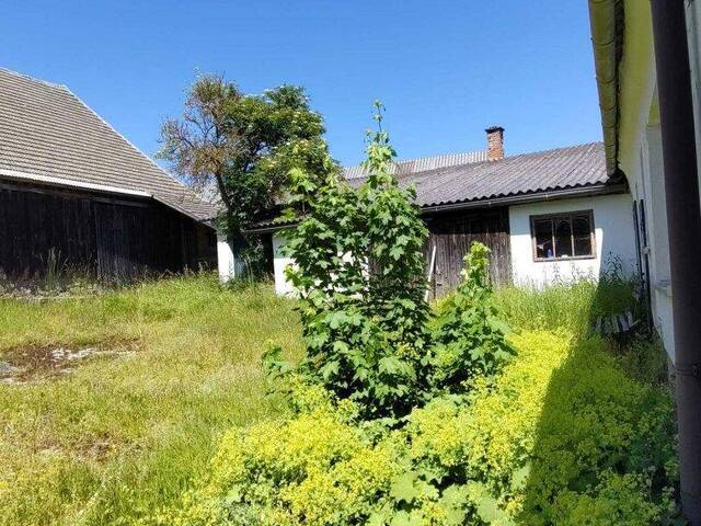 Immobilie in Langschwarza - Großzügiges Landhaus im schönen Waldviertel mit Wiesen und Acker gleich angrenzend - Bild 3