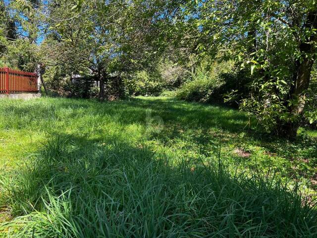 Immobilie in Enzersfeld im Weinviertel - CHARMANTES BLOCKHAUS IN EXKLUSIVER LAGE - Bild 2