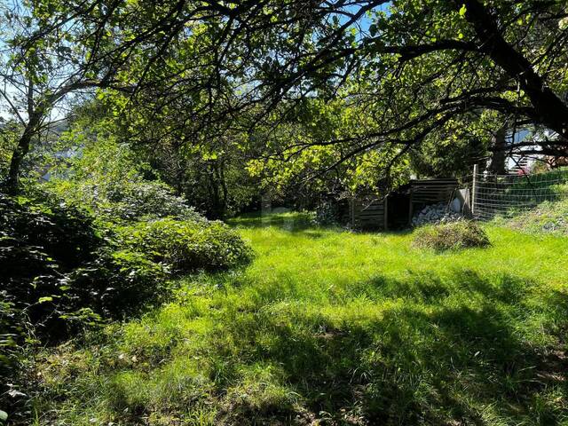 Immobilie in Enzersfeld im Weinviertel - CHARMANTES BLOCKHAUS IN EXKLUSIVER LAGE - Bild 4