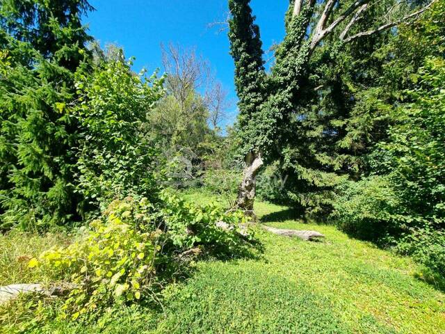 Immobilie in Tullnerbach-Lawies - Großes Baugrundstück mit Altbestand vor den Toren Wiens. Bauträger aufgepasst! 1.000 m² bebaubare Fläche - Bild 2