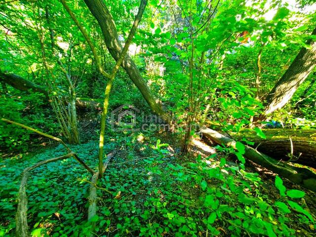 Immobilie in Tullnerbach-Lawies - Großes Baugrundstück mit Altbestand vor den Toren Wiens. Bauträger aufgepasst! 1.000 m² bebaubare Fläche - Bild 3