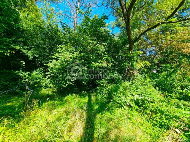 Immobilie in Tullnerbach-Lawies - Großes Baugrundstück mit Altbestand vor den Toren Wiens. Bauträger aufgepasst! 1.000 m² bebaubare Fläche - Bild 4