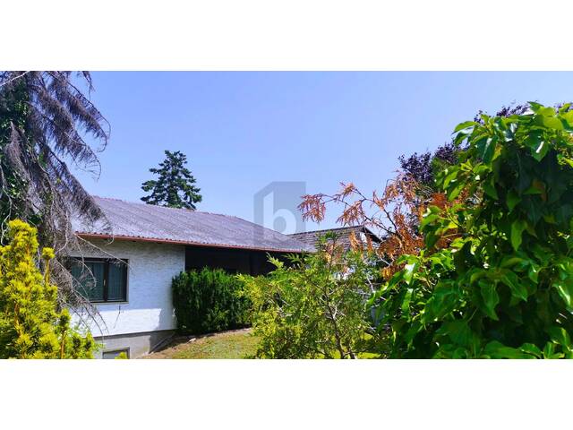 Immobilie in Sollenau - BUNGALOW IN VERKEHRSBERUHIGTER SIEDLUNG - Bild 0