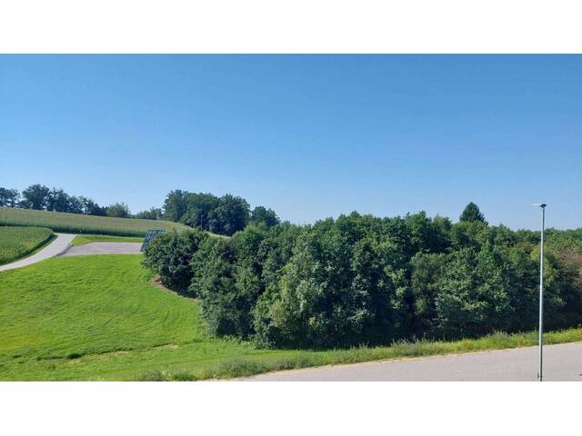 Immobilie in Münzbach - Neues Eigenheim mit traumhafter Aussicht und neuer Photovoltaikanlage! - Bild 4