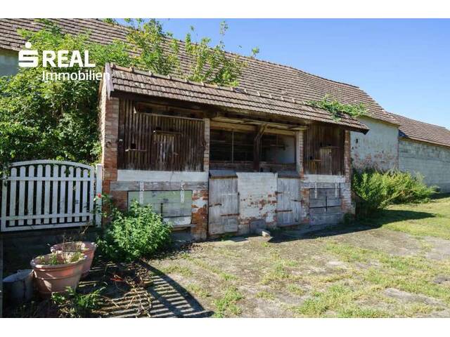 Immobilie in Siegendorf - Ehem. Bauernhof mit Schankbetrieb - 100m² plus Partyraum 60m², 100m² Keller und Schuppen, Garten uneinsehbar! - Bild 3