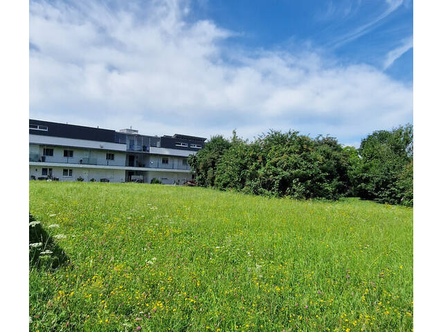 Immobilie in Altach - Neues Doppelhaus in Altach inkl. Grundstück € 613.000,00 + WBF! - Bild 0