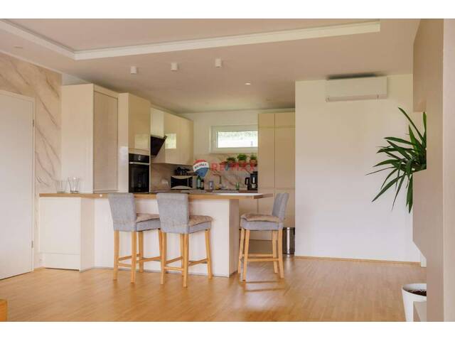 Immobilie in Grafenstein - Exklusiver Bungalow - Bild 4