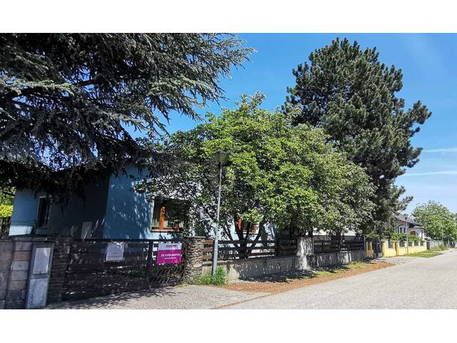 Immobilie in Unterwaltersdorf - BUNGALOW IN RUHELAGE - GROSSER GARTEN - Bild 0