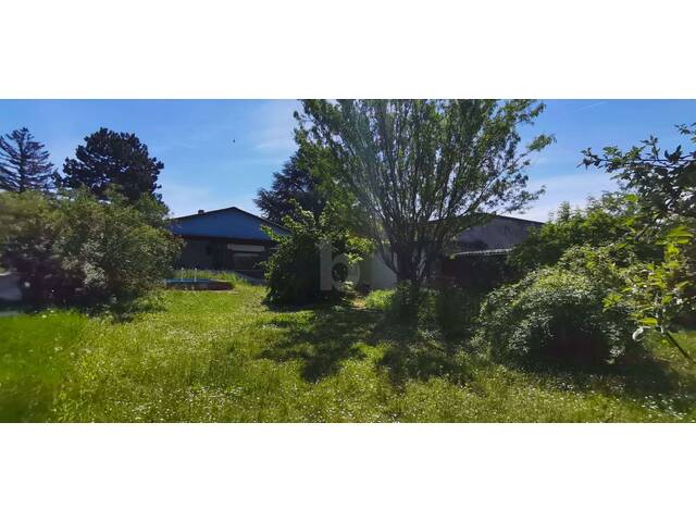 Immobilie in Unterwaltersdorf - BUNGALOW IN RUHELAGE - GROSSER GARTEN - Bild 4