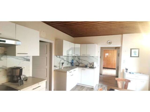 Immobilie in Breitenbrunn am Neusiedler See - TRADITIONELLES STRECKHAUS MIT UNEINSICHTIGEM GARTEN UND ZWEI GARAGEN - Bild 1